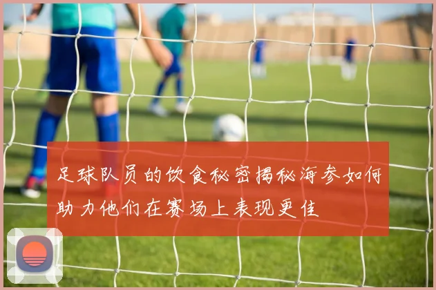足球队员的饮食秘密揭秘海参如何助力他们在赛场上表现更佳