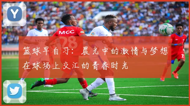 篮球早自习：晨光中的激情与梦想在球场上交汇的青春时光