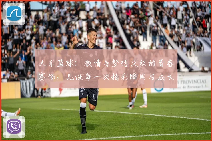 大东篮球：激情与梦想交织的青春赛场，见证每一次精彩瞬间与成长历程