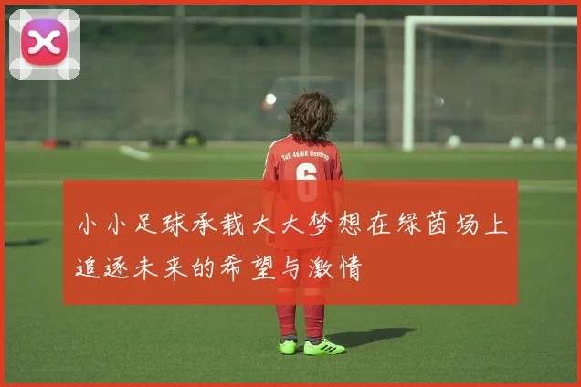 小小足球承载大大梦想在绿茵场上追逐未来的希望与激情