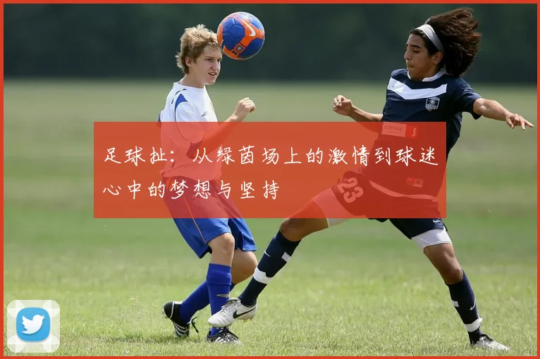 足球扯：从绿茵场上的激情到球迷心中的梦想与坚持