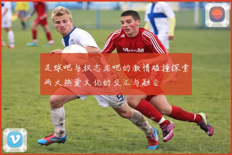 足球吧与权志龙吧的激情碰撞探索两大热爱文化的交汇与融合